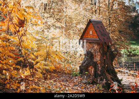 Holz- großes Haus für Eichhörnchen mit Zubringer auf einem Baumstumpf im Wald. Herbst Park mit Bäumen und gelbe Laub auf dem Boden. Das Konzept der Ons Stockfoto