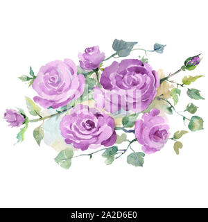 Purple Rose Bouquet blumig botanischen Blumen. Aquarell Hintergrund gesetzt. Isolierte Blumensträuße Abbildung Element. Stockfoto