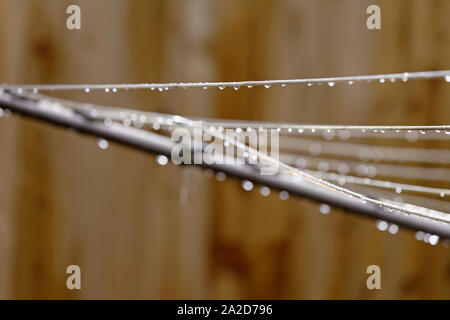 Glitzernde Wassertropfen auf einer rotierenden Wäscheleine Stockfoto