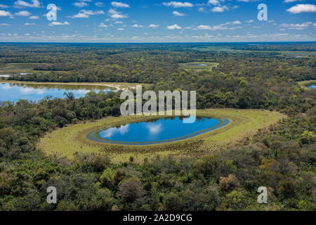 Luftaufnahme der blauen Seen Im brasilianischen Pantanal Feuchtgebiet Stockfoto