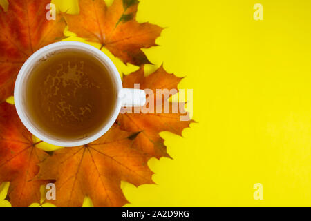 Tee Grüner Tee. Kräutertee. Mint Blatt. Tee mit Apfel Geschmack. Tee in ein Glas Schale mit Apple Blüten und Blätter getrocknet Kaffee geschnitten Kalk. Stockfoto
