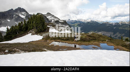 Eine schwangere Frauen Wanderungen an einem sonnigen Tag in den Bergen. Stockfoto