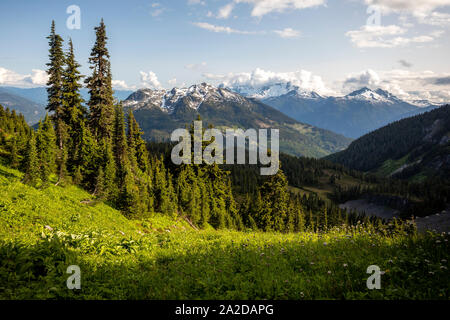 Malerische Sommer Blick der Coast Mountains in British Columbia. Stockfoto