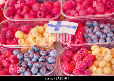 Frucht, die auf den französischen Markt aus Finnland: Himbeeren, Erdbeeren, Heidelbeeren, Äpfel, Stachelbeeren, Aprikosen. Obstsalat Stockfoto