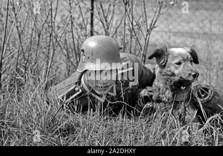 Ein Unteroffizier der Heeres Brieftauben Anstalt in Berlin Spandau und sein diensthund beobachten den Flug der Brieftauben, Deutschland 1930er Jahre. Ein korporal des Heeres Brieftauben Anstalt mit seinem Hund unter Beachtung der Flug der Brieftauben, Deutschland 1930. Stockfoto