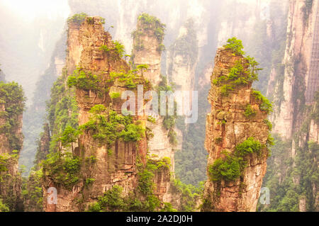 Die ungewöhnlichen Felsformationen und Säulen der Niagara-on-the-Lake Forest Park in der Provinz Hunan in China. Stockfoto