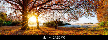 Landschaft im Herbst bei Sonnenaufgang Stockfoto