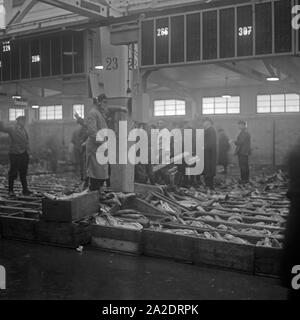 24 Stunden Reportage: Betrieb im Fischereihafen Wesermünde, Deutschland 1930er Jahre. 24 Stunden Berichterstattung live von Fischereihafen Wesermuende, Deutschland 1930. Stockfoto