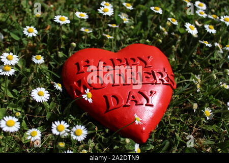 Das Bild zeigt die glückliche Mutter Herz in Daisy Flowers. Stockfoto