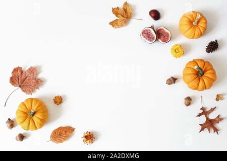 Herbst, Herbst kreative Komposition von orange Kürbisse und Feigen. Bunte Ahorn und Eiche Blätter, Blumen, Eicheln isoliert auf weißem Hintergrund. Deco Stockfoto