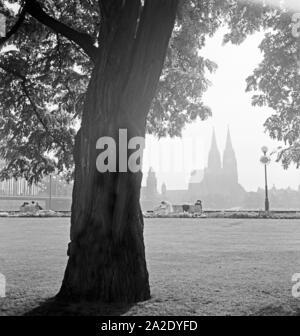 Blick vom Rheinpark in den Dom zu Köln, 1930er Jahre. Blick vom Rheinpark zu den Kölner Dom, 1930. Stockfoto