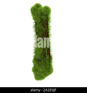 Gras Buchstaben I auf weißem Hintergrund. Symbol abgedeckt grünes Gras. Eco schreiben. 3D-Darstellung. Stockfoto