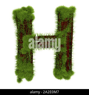 Grass Buchstabe H isoliert auf weißem Hintergrund. Symbol abgedeckt grünes Gras. Eco schreiben. 3D-Darstellung. Stockfoto