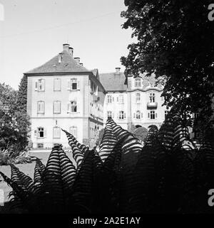 Das Deutschordensschloss mit dem Burgstall der Insel Mainau, Deutschland 1930er Jahre. Teutonic Knight Schloss auf der Insel Mainau, Deutschland 1930. Stockfoto