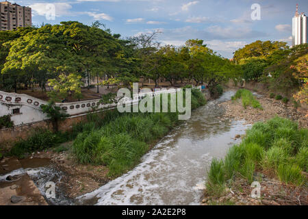 Die Cali Fluss fließt durch das Zentrum der Stadt Cali in Kolumbien. Der Parque Simón Bolivar grenzt an die Böschung. Stockfoto