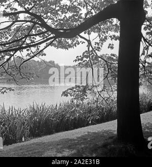 Ein Park in Chemnitz, Deutschland 1930er Jahre. Ein öffentlicher Garten in Chemnitz, Deutschland 1930. Stockfoto