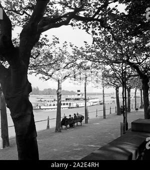 Mainzer Artikel am Rheinufer in Mainz, Deutschland 1930er Jahre. Die Menschen am Ufer des Rhein bei Mainz, Deutschland 1930. Stockfoto