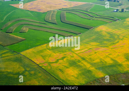 Luftaufnahme des ländlichen Iowa Landschaft und Feldern der Körner. Dubuque County, Iowa, USA Stockfoto