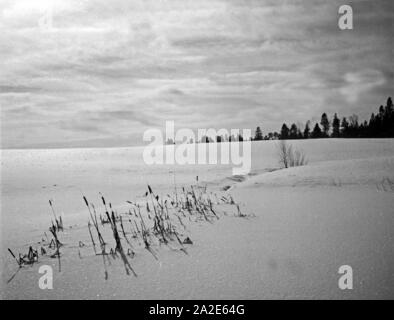 Winterlandschaft in Ostpreußen, 1930er Jahre. Winter Landschaft in Ostpreußen, 1930er Jahre. Stockfoto