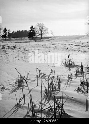 Winterlandschaft in Ostpreußen, 1930er Jahre. Winter Landschaft in Ostpreußen, 1930er Jahre. Stockfoto