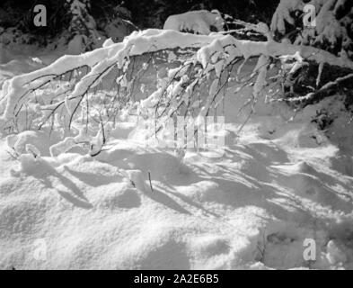 Winterlandschaft in Ostpreußen, 1930er Jahre. Winter Landschaft in Ostpreußen, 1930er Jahre. Stockfoto