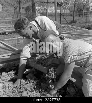 Eine junge Frau hilft in einem Bauernhof in Hohenaschau im Chiemgau im Rahmen des Frauenarbeitsdienstes, Deutschland 1930er Jahre. Eine junge Frau zu helfen, auf einem Bauernhof in Hohenaschau an Frauenarbeitsdienst weiblichen Belegschaft, Deutschland 1930. Stockfoto