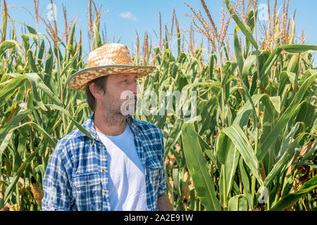 Portrait von stattlichen Mais Landwirt in kultivierte Mais Feld tragen Strohhut und Plaid Shirt und Ansehen unter talk Nutzpflanzen Stockfoto