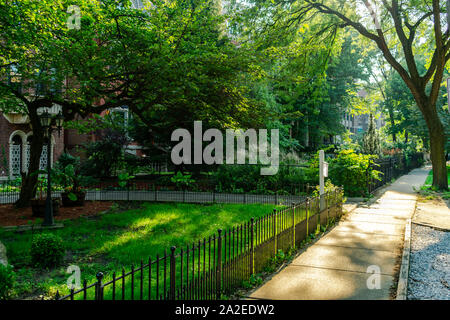 Von Bäumen gesäumten Gehsteig in Chicago's Lincoln Park Nachbarschaft im Laufe des Nachmittags Stockfoto