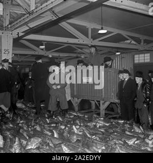 24 Stunden Reportage: Betrieb im Fischereihafen Wesermünde, Deutschland 1930er Jahre. 24 Stunden Berichterstattung live von Fischereihafen Wesermuende, Deutschland 1930. Stockfoto