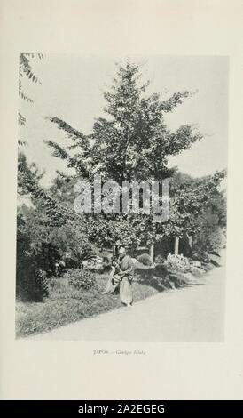 El Jardín Botánico de Buenos Aires Stockfoto