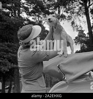 Eine junge Frau spielt mit einem Foxterrier, Deutschland 1930er Jahre. Eine junge Frau spielen mit einem Fox Terrier, Deutschland 1930. Stockfoto