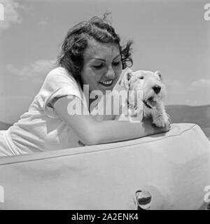 Eine Junge Frau Sitzt Mit Einem Foxterrier bin Faltdach Eines Ford v8 Cabrio, Deutschland 1930er Jahre. Eine junge Frau sitzt durch das Fodling Dach eines Ford V8 Cabrio mit ihrem Foxterrier Welpen, Deutschland der 1930er Jahre. Stockfoto