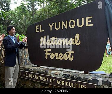 El Yunque National Forest. Stockfoto