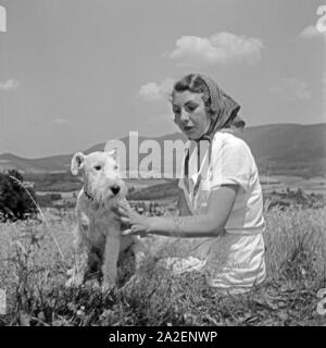 Eine Junge Frau Sitzt Mit Einem Foxterrier in Einer Wiese, 1930er Jahre Deutschland. Eine junge Frau sitzt in einem Rasen mit ihrem Foxterrier Welpen, Deutschland der 1930er Jahre. Stockfoto