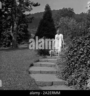 Eine Frau geht mit einem Foxterrier in einem Park in Wildbad im Schwarzwald spazieren, Deutschland 1930er Jahre. Eine Frau, die zu Fuß ihre Fox Terrier in einem öffentlichen Park in Wildbad im Schwarzwald, Deutschland der 1930er Jahre. Stockfoto