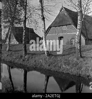 Strohgedeckte Häuser in der Elbmarsch, Deutschland 1930er Jahre. Reetgedeckte Häuser am bogland von Elbe, Deutschland 1930. Stockfoto