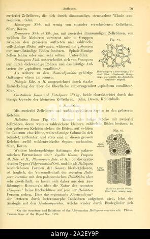 Der paleontologie (Seite 79, Abb. 84-85) Stockfoto