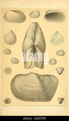 Elfter Jahresbericht der Vereinigten Staaten geologische und geografische Übersicht der Gebiete Stockfoto