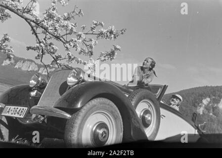 Zwei junge Frauen machen 5/6 einer Spazierfahrt mit dem Cabrio unter einem blühenden Kirschbaum im Schwarzwald Rast, Deutschland 1930er Jahre. Zwei junge Frauen ruhen unter einem blühenden Kirschbaum im Schwarzwald während Ihrer Reise mit einem Cabrio, Deutschland 1930. Stockfoto