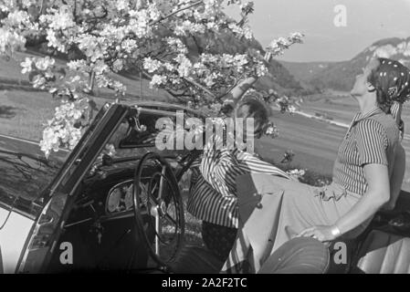 Zwei junge Frauen machen 5/6 einer Spazierfahrt mit dem Cabrio unter einem blühenden Kirschbaum im Schwarzwald Rast, Deutschland 1930er Jahre. Zwei junge Frauen ruhen unter einem blühenden Kirschbaum im Schwarzwald während Ihrer Reise mit einem Cabrio, Deutschland 1930. Stockfoto