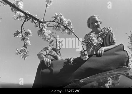 Zwei junge Frauen machen 5/6 einer Spazierfahrt mit dem Cabrio unter einem blühenden Kirschbaum im Schwarzwald Rast, Deutschland 1930er Jahre. Zwei junge Frauen ruhen unter einem blühenden Kirschbaum im Schwarzwald während Ihrer Reise mit einem Cabrio, Deutschland 1930. Stockfoto