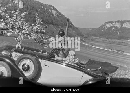 Zwei junge Frauen machen 5/6 einer Spazierfahrt mit dem Cabrio unter einem blühenden Kirschbaum im Schwarzwald Rast, Deutschland 1930er Jahre. Zwei junge Frauen ruhen unter einem blühenden Kirschbaum im Schwarzwald während Ihrer Reise mit einem Cabrio, Deutschland 1930. Stockfoto