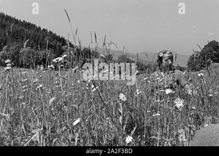 Eine junge Frau in einer Wiese im Schwarzwald, Deutschland 1930er Jahre. Eine junge Frau liegt auf einer Wiese im Schwarzwald, Deutschland der 1930er Jahre. Stockfoto