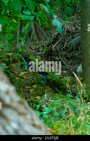 Streams der Stadt Benizar, Murcia, Moratalla (Spanien) Stockfoto