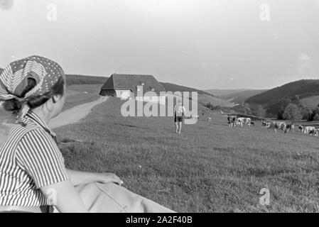 Der Blick über die Weide in den Furtwängler Hof im Schwarzwald, Deutschland 1930er Jahre. Blick über die Wiese auf dem Furtwängler Hof im Schwarzwald, Deutschland der 1930er Jahre. Stockfoto