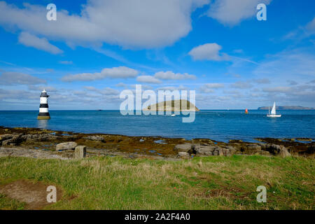 Der östliche Endpunkt von Anglesea, die die Passage zwischen dem Ufer und Papageitaucher Insel mit Leuchtturm Penmon Stockfoto