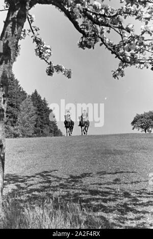 Reiter bei einem Reitausflug im Wald bei Freudenstadt, Deutschland 1930er Jahre. Reiter auf einem Pferd reiten Reise in den Wäldern in der Nähe von Freudenstadt, Deutschland 1930. Stockfoto