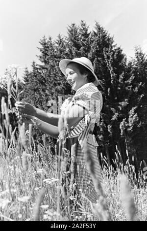 Porträt Einer Jungen Frau Auf Einer Blumenwiese, Freudenstadt, Deutschland 1930er Jahre. Porträt einer jungen Frau auf einer Blumenwiese, Freudenstadt, Deutschland der 1930er Jahre. Stockfoto