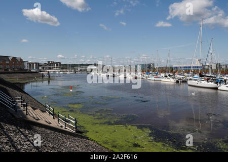 Segelboote auf der Cardiff Bay Lagune angelegte See, Fluss Ely Penarth Marina Wales UK Stockfoto