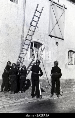 Eine Gruppe von der Kinderfeuerwehr stellt 5/6 einer Feuerwehrübung eine Leiter auf, Deutschland 1930er Jahre. Eine Gruppe von Junior Feuerwehrmänner bereitet eine Leiter während ein Feuerwehrmann, Deutschland 1930. Stockfoto